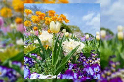 Mengenal Tren Chaos Gardening, Berkebun Acak yang Estetik