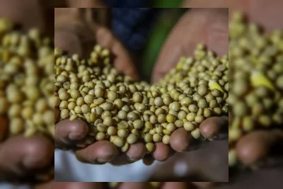 Pemerintah Subsidi Kedelai Impor Rp2.000 per Kg di Jakarta
