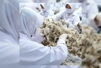 Abadi Lestari Indonesia Absen Bagikan Dividen Laba Buku 2025