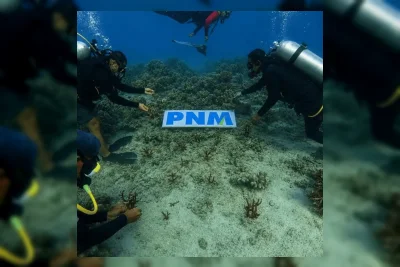 PNM Tanam 70.000 Mangrove untuk Jaga Ekosistem Pesisir