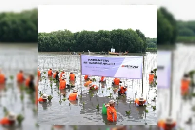 Hankook Tire Indonesia Tanam Ribuan Mangrove di Muara Gembong