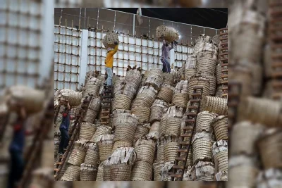 Wacana Layer Baru Cukai Rokok Berisiko Picu Distorsi Pasar