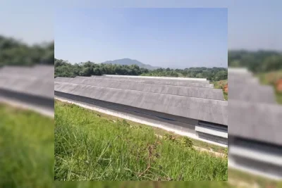 Dewi Shri Farmindo Akuisisi Aset 1,5 Hektare di Cikarang untuk Ekspansi Frozen Food