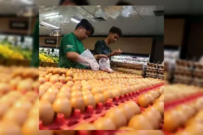 Pemerintah Tetapkan Harga Acuan Telur Ayam Ras Rp26.500 Per Kilogram