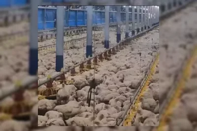 Dewi Shri Farmindo Akuisisi Lahan 1,5 Hektar di Cikarang untuk Ekspansi Frozen Food