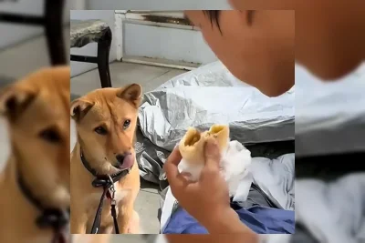 Kisah Tang Wei: Kurir Makanan Hidup Hemat Ekstrem Demi Kuliah di Changsha