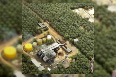 PT Citra Borneo Utama Tbk Raup Laba Rp 45 Miliar di Kuartal I-2026