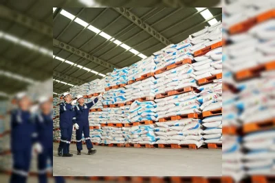 Laba Bersih PT Nusa Palapa Gemilang Melonjak 45 Persen di 2025
