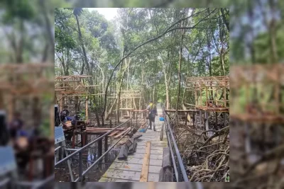 Pemerintah Luncurkan Program Desa Mandiri Peduli Mangrove