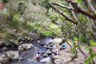 Kebun Raya Cibodas Terapkan Tarif Tiket Masuk Berdasarkan PP Baru