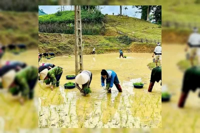 Petani Optimistis Target Produksi Jagung 18 Juta Ton Tercapai Tahun Ini