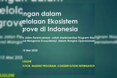 Pemprov Bengkulu Susun Rencana Pengelolaan Mangrove 2026-2055