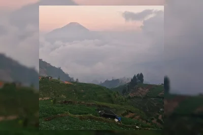 Warga Patakbanteng Pulihkan Hutan Lindung Gunung Prau