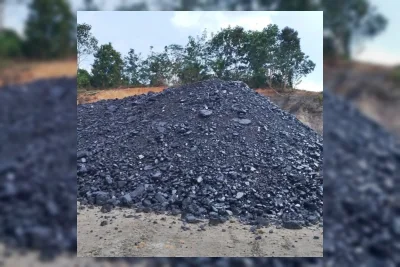 PT Bayan Resources Tbk Bagikan Dividen Tunai US$500 Juta