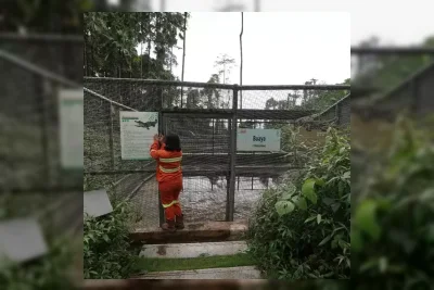 PT IWIP Resmikan Sanctuary Park 11 Hektar di Halmahera Tengah