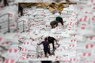 Tantangan Industri Gula Nasional Capai Swasembada Lebih Kompleks dari Konsolidasi