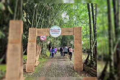Review Pasar Papringan Ngadiprono: Wisata Ekobudaya Kreatif di Temanggung