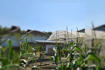 UGM Terapkan PLTS Hybrid Agrovoltaic di Sleman untuk Dorong Smart Farming