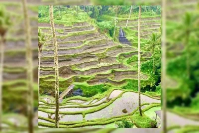 5 Kawasan di Indonesia yang Dianggap Overrated oleh Turis Bule