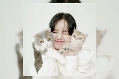 Riset Psikologi Ungkap Kepribadian Wanita Penyuka Kucing