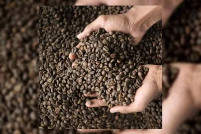 Produk Kopi Indonesia Catat Potensi Transaksi Rp593 Miliar di AS