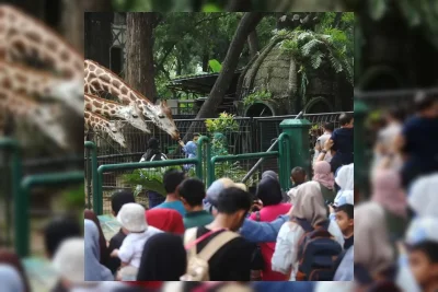 Pemprov DKI Gratiskan Tiket Masuk Ragunan dan Ancol Juni 2026
