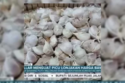 Pemerintah Siapkan Stimulus Ekonomi dan Dorong Kerja Sama Global