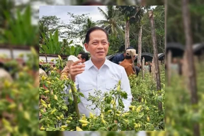 Pemerintah Pantau Fluktuasi Harga Cabai demi Jaga Rantai Pasok