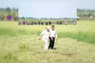Prabowo Instruksikan Kelanjutan Program Pertanian di Papua dengan Anggaran Rp5,5 Triliun