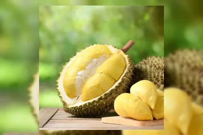 Harga Durian Black Thorn dan Musang King di Malaysia Anjlok Akibat Panen Raya