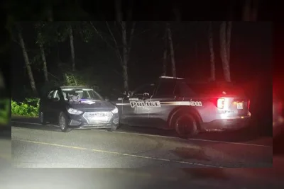 Warga Sovereign Citizen Tolak Otoritas Polisi, Hyundai-nya Kena PIT Maneuver