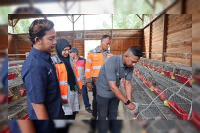 SIG Olah Sampah Kelapa Jadi Pakan Ternak, Biaya Peternak Turun 60%