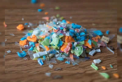 Biji Moringa Mampu Hilangkan 98% Mikroplastik dari Air, Tantang Teknologi Modern