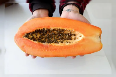 8 Buah Terbaik untuk Diet Malam Hari, Rendah Kalori dan Tinggi Serat