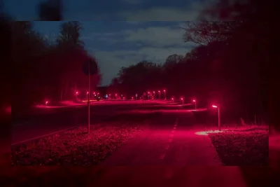 Denmark Ganti Lampu Jalan dengan LED Merah demi Kelelawar