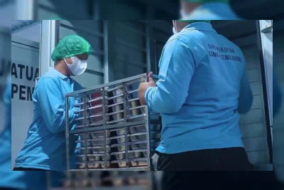Pemerintah Siapkan Jurus Baru Optimalkan Program Makan Bergizi Gratis