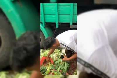 Viral Anak Kos Mulung Sayur Sisa Pasar Demi Hemat Pengeluaran