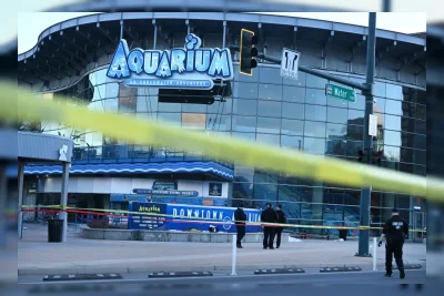 Dua Saudara Divonis Puluhan Tahun Penjara atas Penembakan di Akuarium Denver