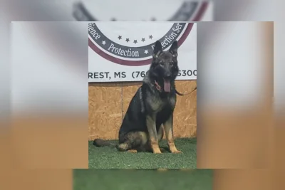 Polisi Fairfield Dipecat Usai Anjing K-9 Mati karena Kepanasan