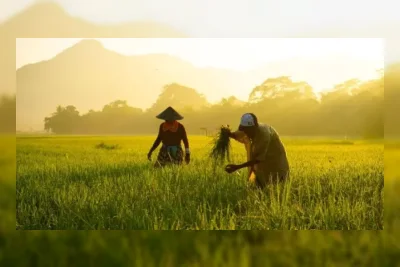 FAO Proyeksikan Produksi Beras Indonesia Capai 38,6 Juta Ton pada 2026/2027