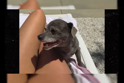 Tebak Selebriti Berkaki Hot Dog: Siapa Pemilik Kaki Indah Ini?
