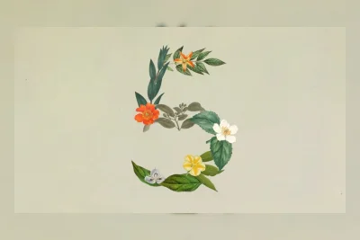 Anthropic Luncurkan Claude Sonnet 5 dengan Kemampuan Agen dan Coding yang Lebih Baik