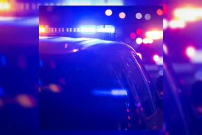 Polisi Chicago Cari Pelaku Percobaan Penculikan Anak di Portage Park
