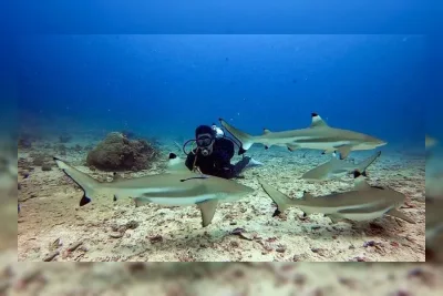 Menginap di Daloha Beach & Dive Resort, Sajikan Sinema Alam dari Fajar hingga Senja