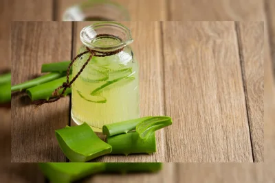 10 Manfaat Lidah Buaya untuk Wajah, Atasi Jerawat hingga Eksim