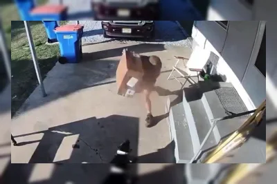 Viral Video: Kurir UPS Lempar Paket ke Anjing, Tantang Pemilik Berkelahi