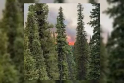 Peringatan Cuaca Ekstrem di Calgary Dicabut Setelah Badai Canada Day