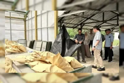 BRIN dan Pertamina Perkuat Hilirisasi Drilling Starch Berbasis Sagu untuk Industri Migas