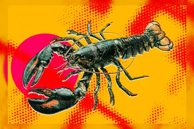 Biohacker Gagal Operasi Lobster untuk Kendalikan AI, Akhirnya Mati