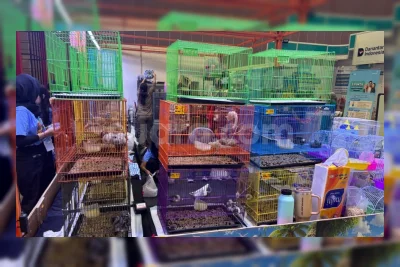 JxB 2026 Hari Ketiga Dipadati Beauty Enthusiast dan Jastiper